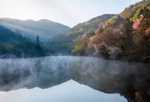 Kolik Je 1 Dolar Kč